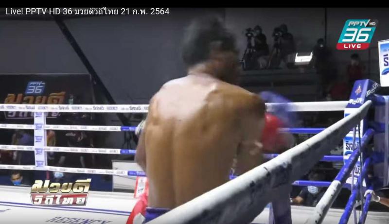 https://www.pptvhd36.com/live