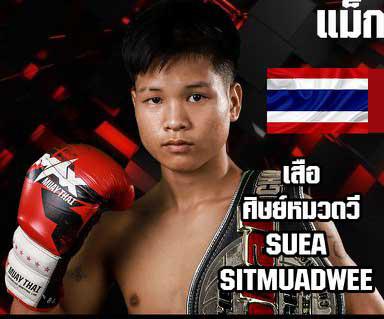 เสือ ศิษย์หมวดวี
