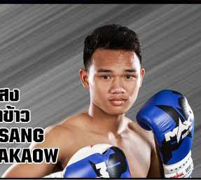 เพชรจรัสแสง เจียรเจริญค้าข้าว