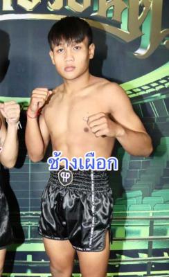 ช้างเผือก ส.คำสิงห์