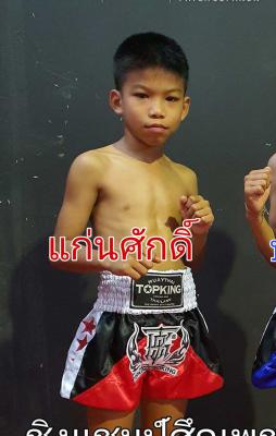 แก่นศักดิ์ เพชรสุภานันท์