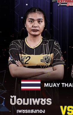 ป้อมเพชร เพชรแสงทอง