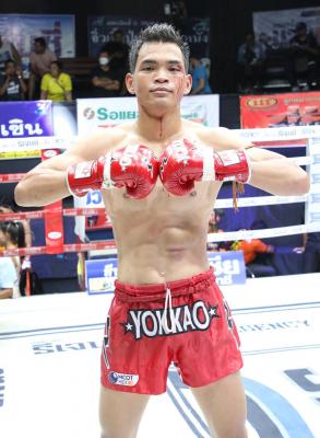 โรโบค๊อบ ภัทรสานนท์ยิม