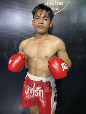 เพชรดอนตาล ศ.พลับพลานารายณ์