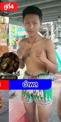 อำพล ศักดิ์ชานุ