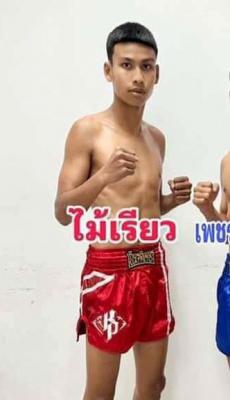 ไม้เรียว ท่าแซะยาสัตว์