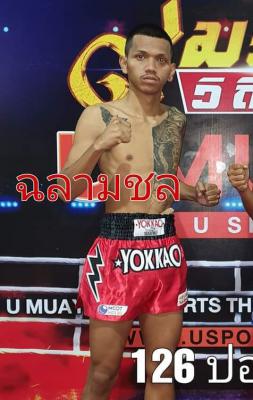 ฉลามชล ป.ปรีชาชัย