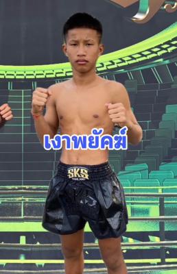 เงาพยัคฆ์ สิงห์คลองสี่