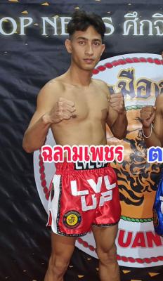 ฉลามเพชร ต.บัวมาศ