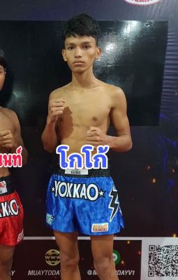 โกโก้ ก.กัมปนาท