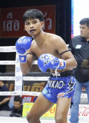 เพชรดำ ผู้กองบัติบางบาล