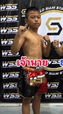 เจ้านาย หนูกันการช่าง