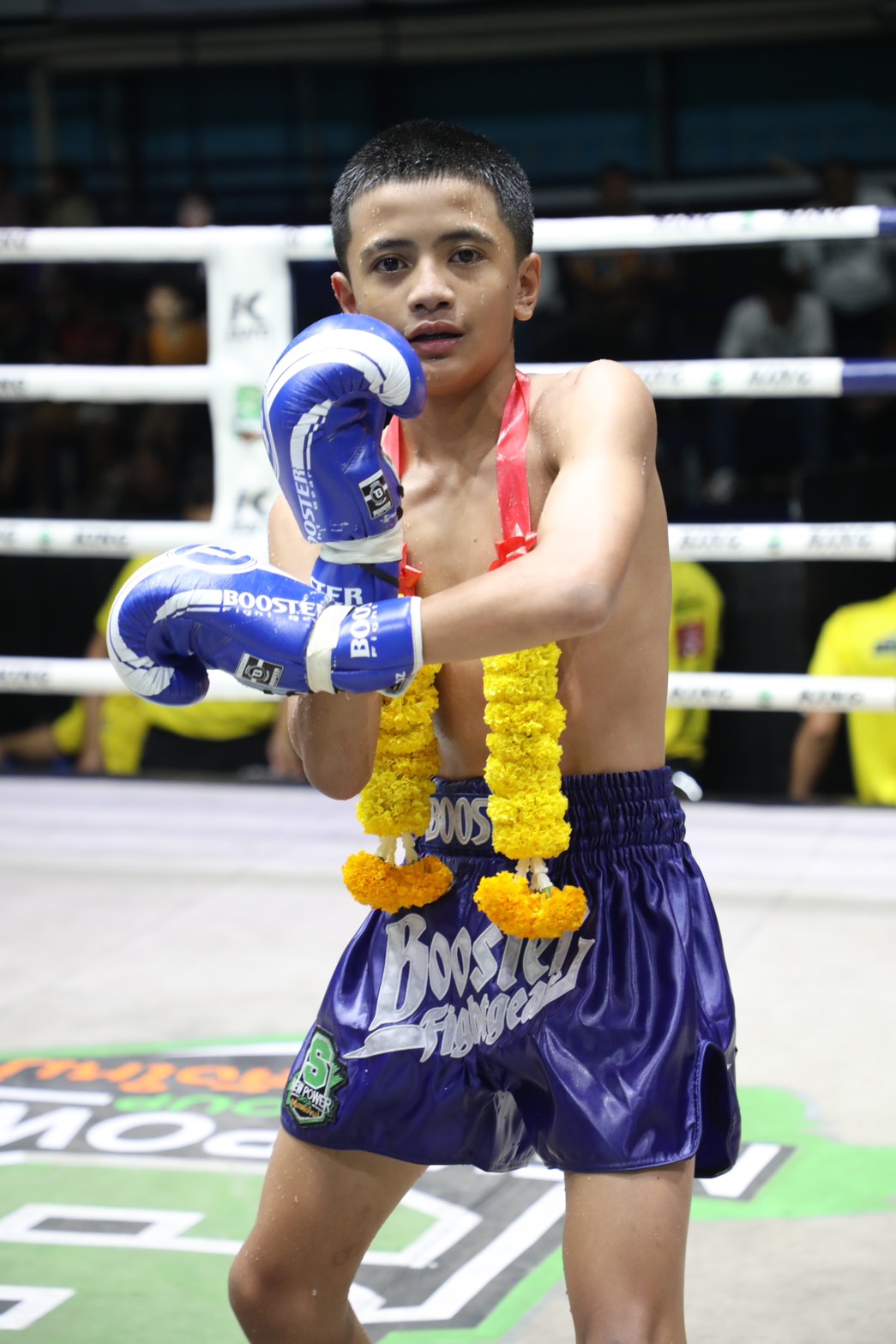 ทัพหลวง ศ.ทรงธรรม