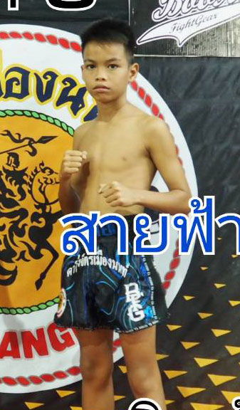 สายฟ้า สวนอาหารปีกไม้