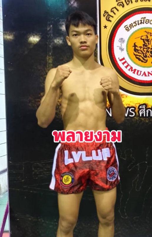พลายงาม ช้างศึกมวยไทย