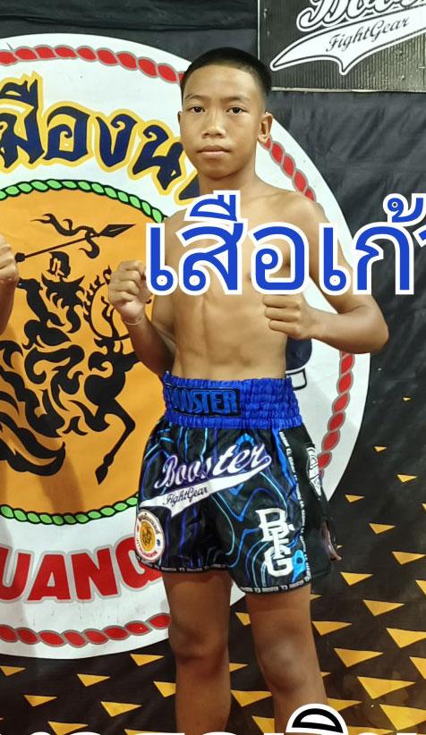 เสือเก้า พ.เพชรพิทักษ์
