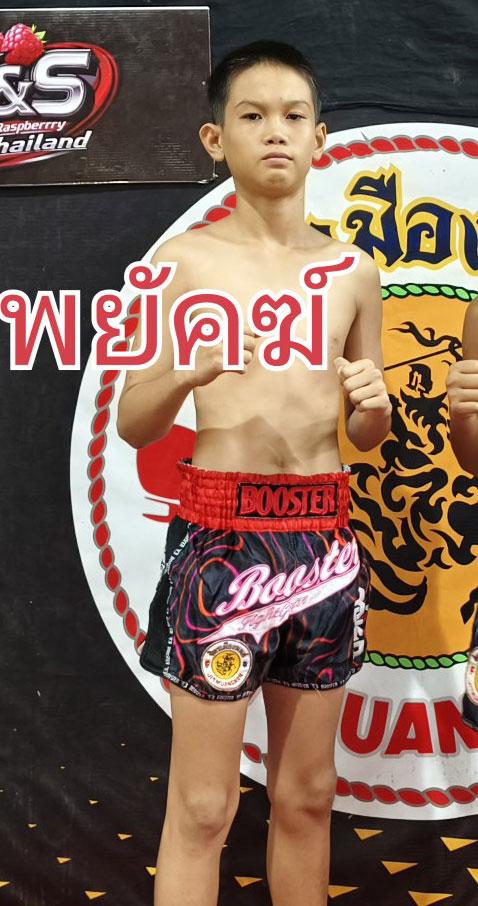 พยัคฆ์ พยัคฆ์ลำพอง