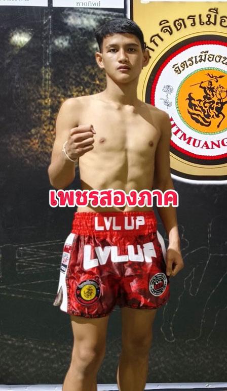เพชรสองภาค ป.ประวิทย์