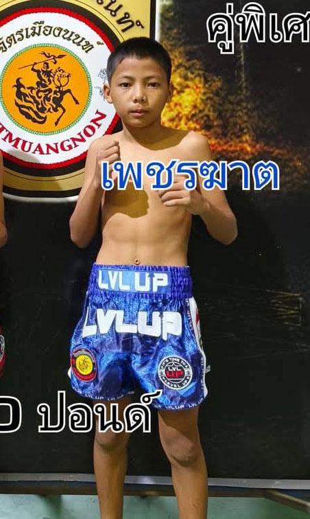 เพชรฆาต ศ.ประวัติเมือง