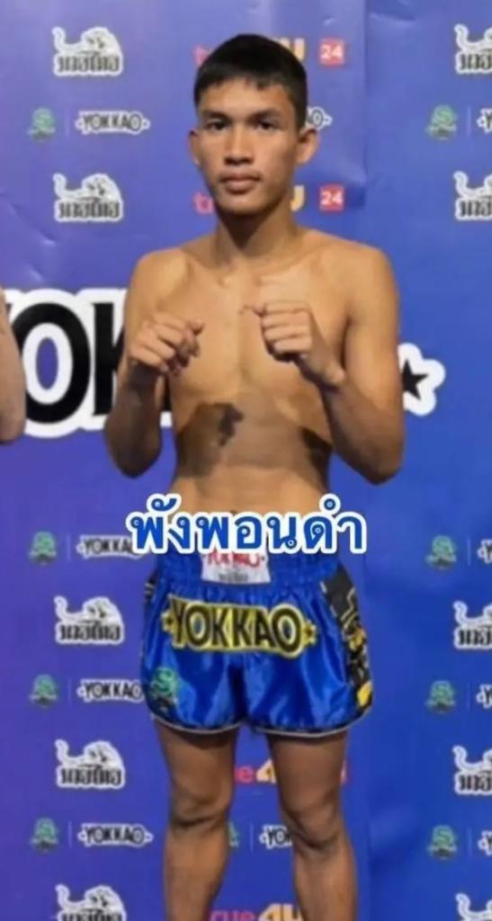 พังพอนดำ บ้านแรมบ้า