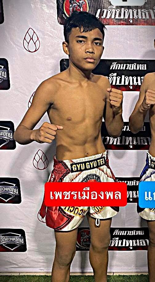 เพชรเมืองพล ว.วังพรม