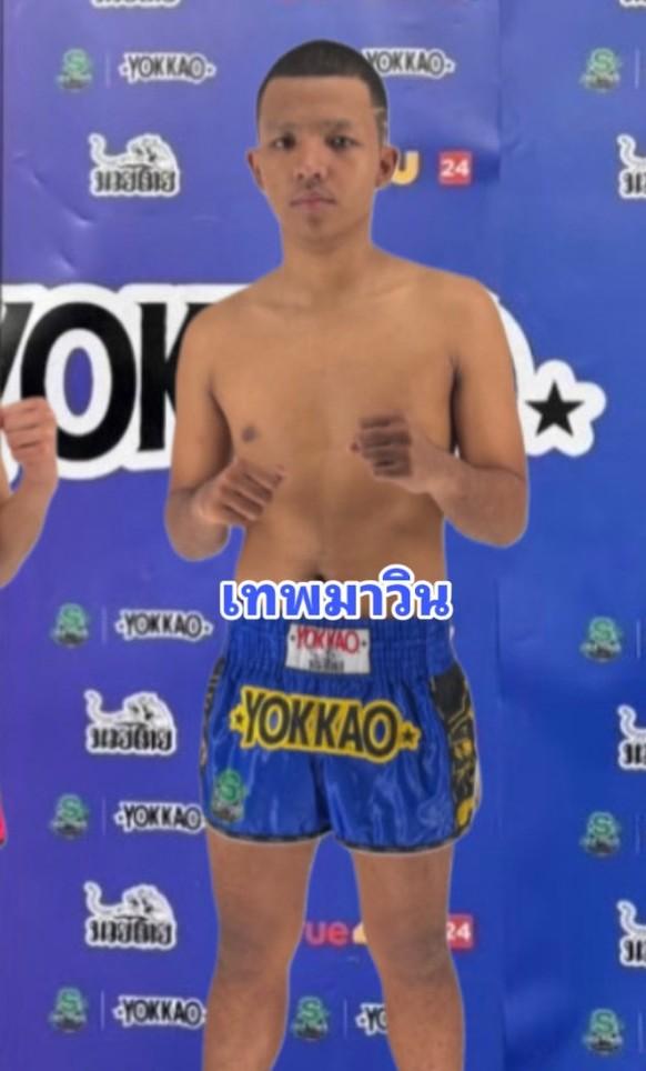 นักชกมุมน้ำเงิน เทพมาวิน ฮอนเนอร์มวยไทย เทพมาวิน ฮอนเนอร์มวยไทย