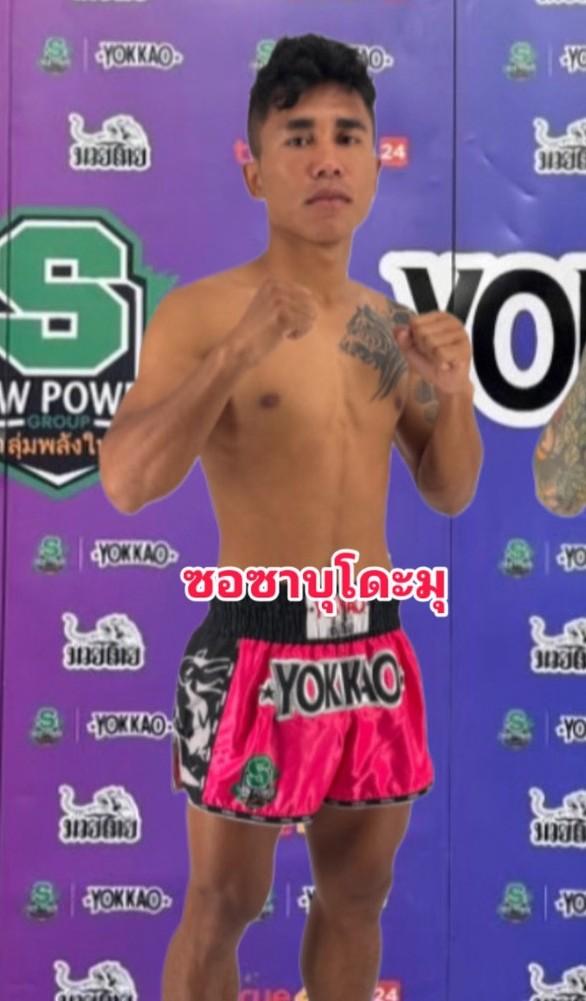 นักชกมุมแดง ซอซาบุโดะมุ ป.สองแผ่นดิน ซอซาบุโดะมุ ป.สองแผ่นดิน