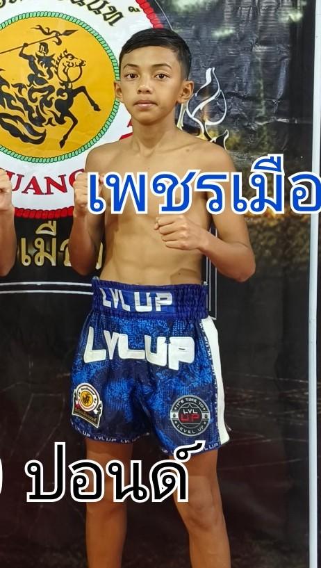 เพชรเมืองสิงห์ ซันรัตภูมิ