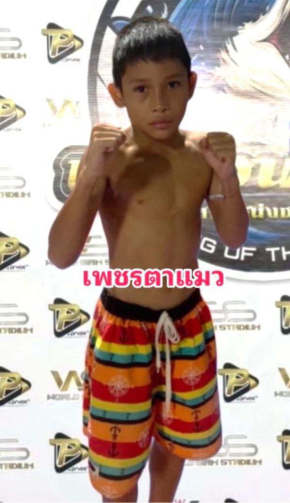 เพชรตาแมว ซันรัตภูมิ