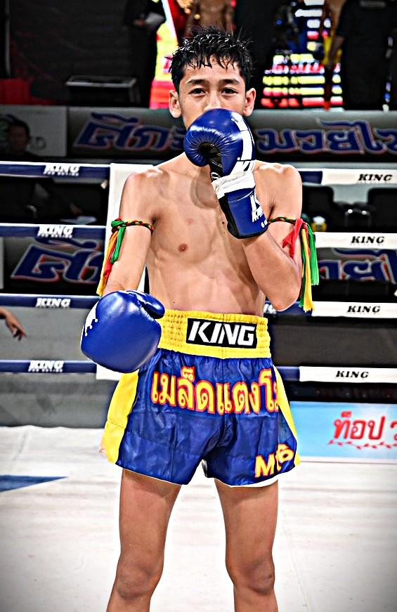 ไก่ฟ้า สวนอาหารปีกไม้