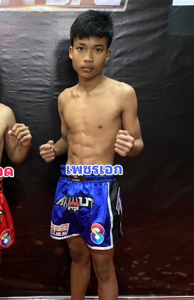 เพชรเอก อัศวินมือถือ