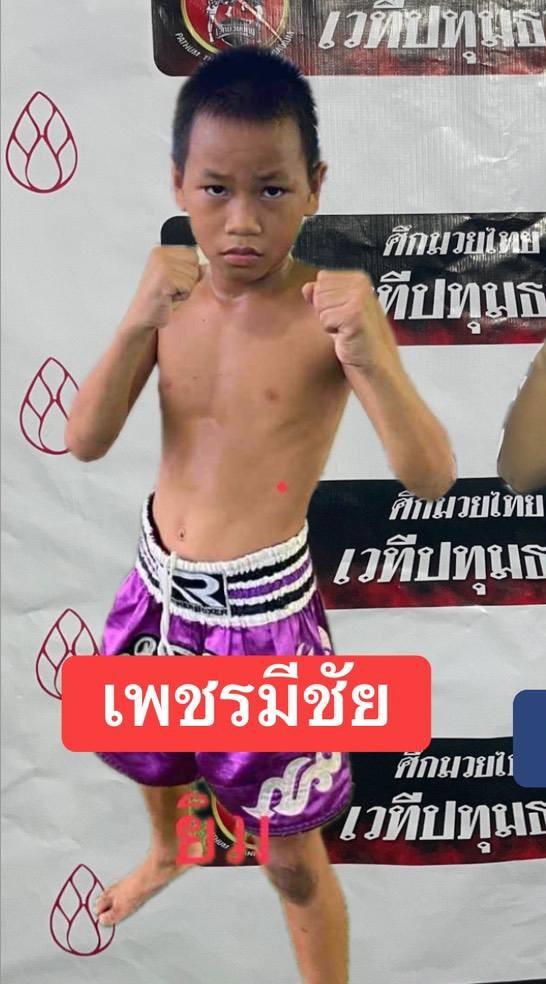 เพชรมีชัย