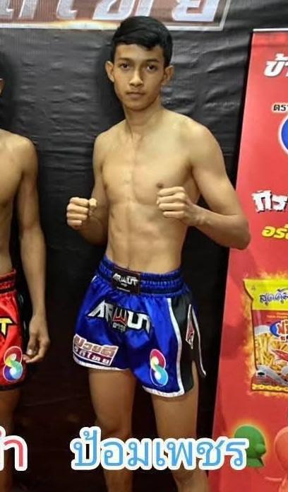 ป้องเพชร ไอ้หนูนครบาล