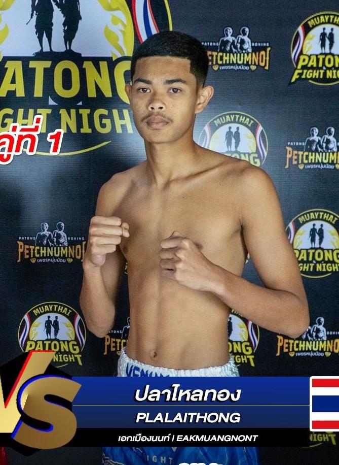 ปลาไหลทอง เอกเมืองนนท์