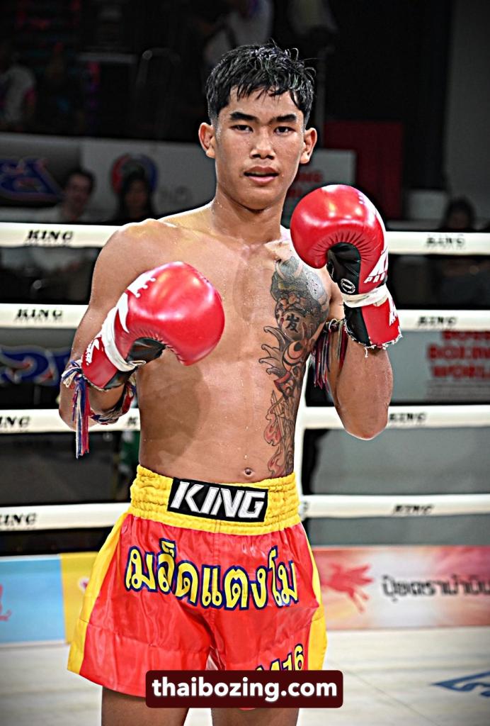 ฉลามชล โหน่งบางทราย